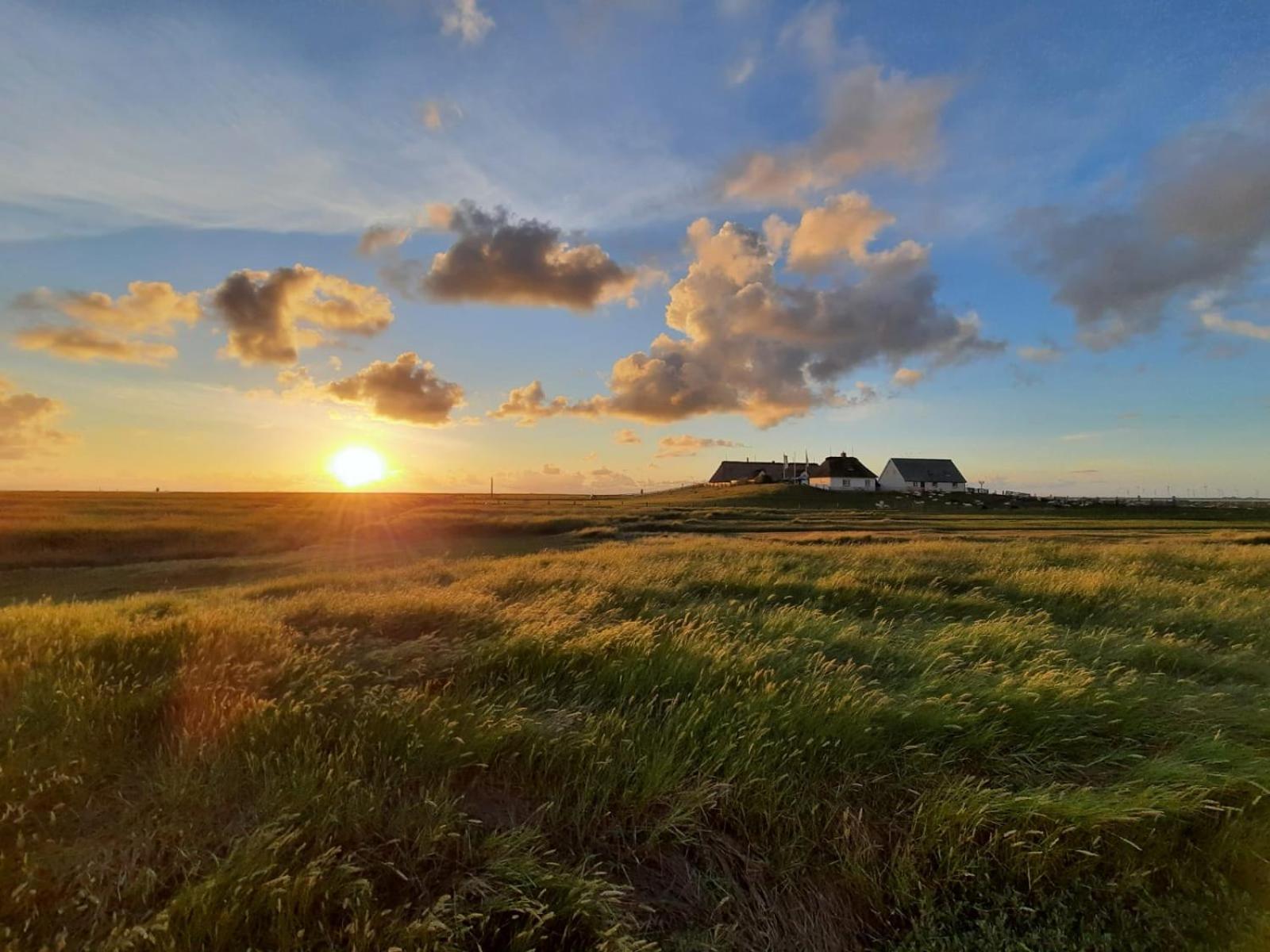 Nordsee Bauernhof Familie Wulff Fewo "Suedfall" Reußenköge Exterior foto