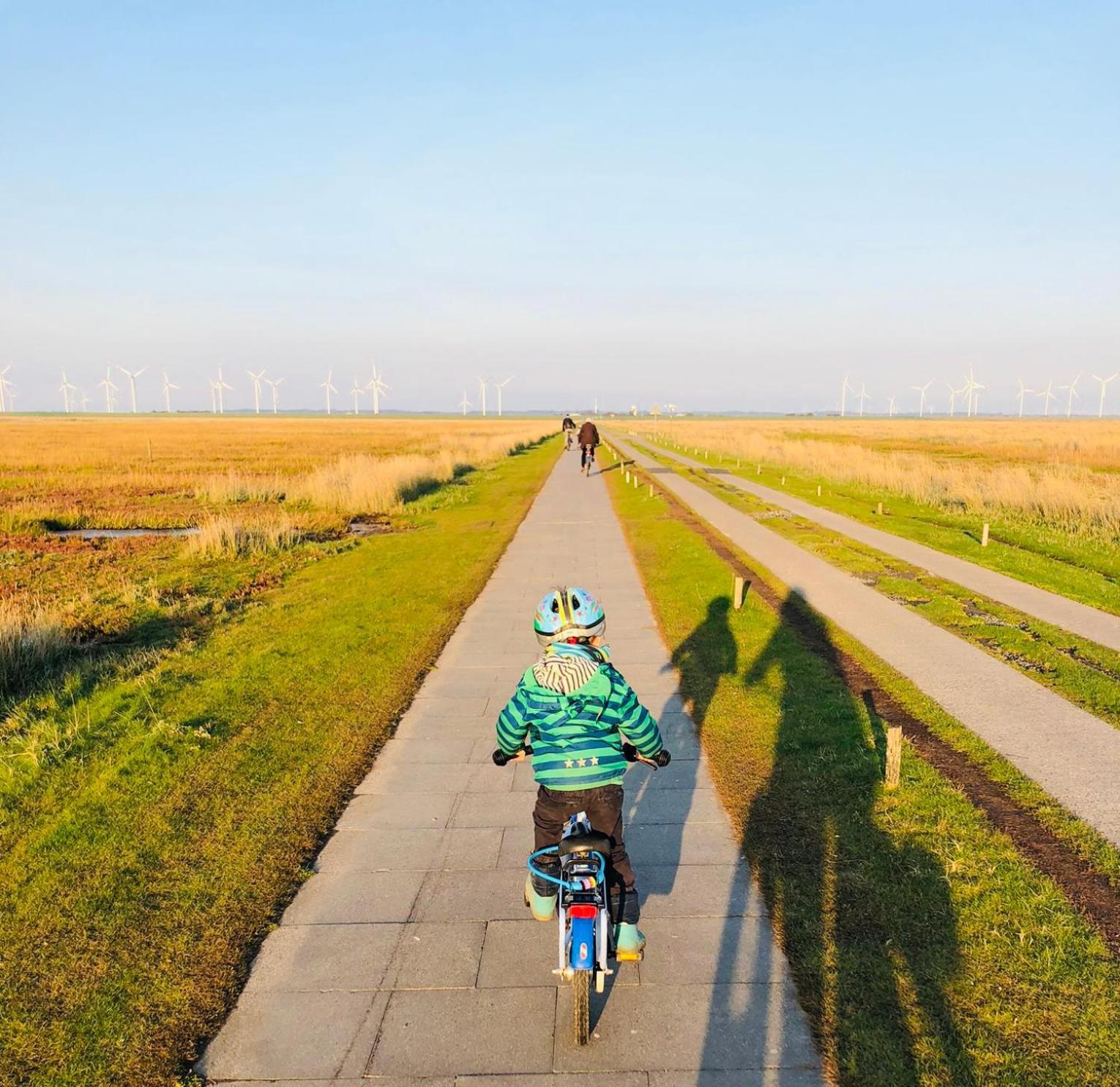 Nordsee Bauernhof Familie Wulff Fewo "Suedfall" Reußenköge Exterior foto