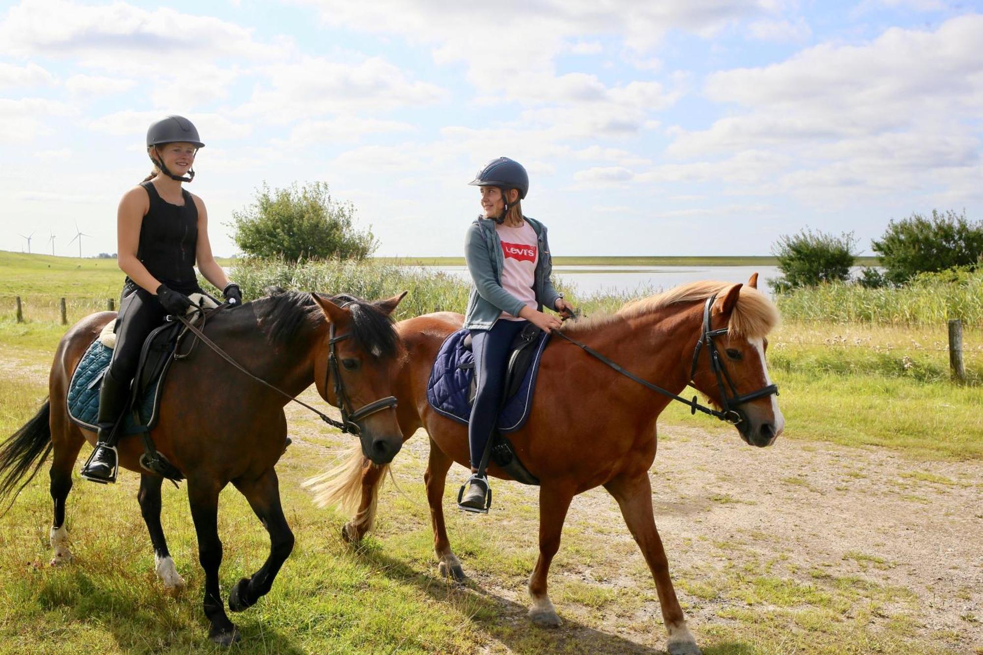 Nordsee Bauernhof Familie Wulff Fewo "Suedfall" Reußenköge Exterior foto
